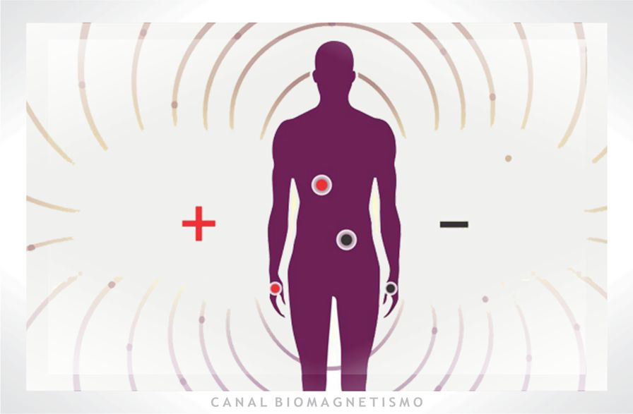 Canal Biomagnetismo